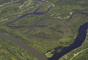 Maior parte da Mata Atlântica tem menos de 30% de vegetação nativa