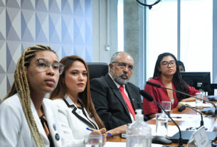 Na CDH, especialistas protestam contra obstáculos a mulheres e negros na política — Senado Notícias