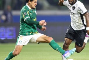 Palmeiras e Botafogo jogam por liderança do Campeonato Brasileiro