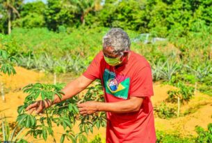 Projeto garante benefício por preservação a pequenos produtores da Amazônia — Senado Notícias