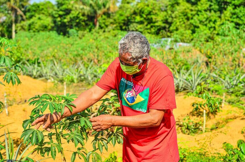 Projeto garante benefício por preservação a pequenos produtores da Amazônia — Senado Notícias