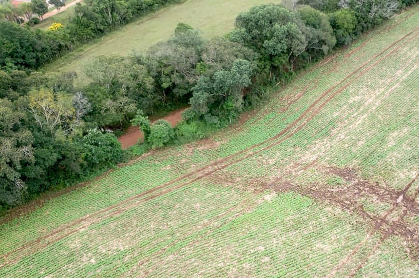 Projeto inclui ações de preservação ambiental no rol de atividades rurais — Senado Notícias