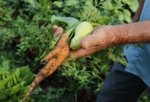 Sancionada lei que fortalece financiamento para agricultura familiar — Agência Gov