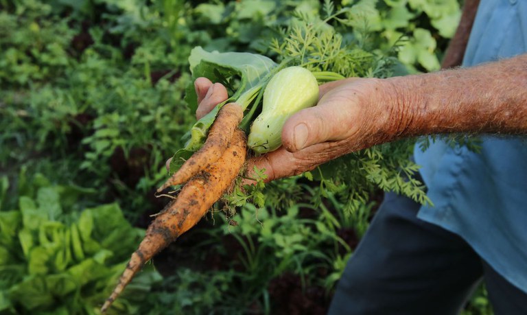 Sancionada lei que fortalece financiamento para agricultura familiar — Agência Gov