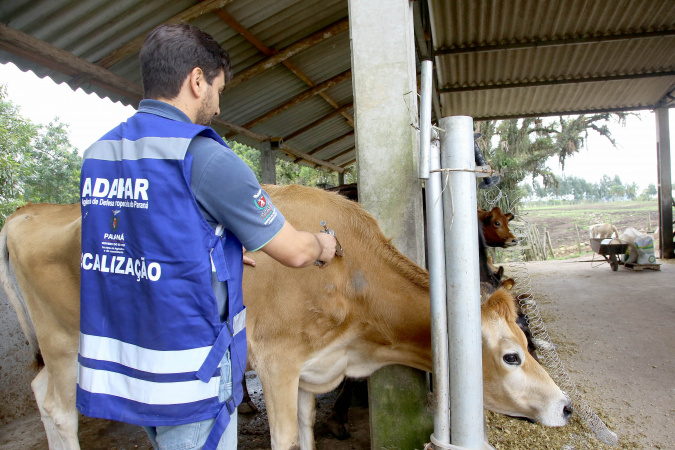 Veterinários devem se recadastrar na Adapar para atuar contra brucelose e tuberculose