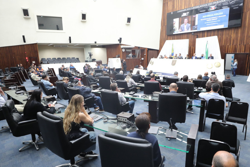 Audiência ocorreu no Plenário da Assembleia Legislativa na manhã desta quinta-feira (5).