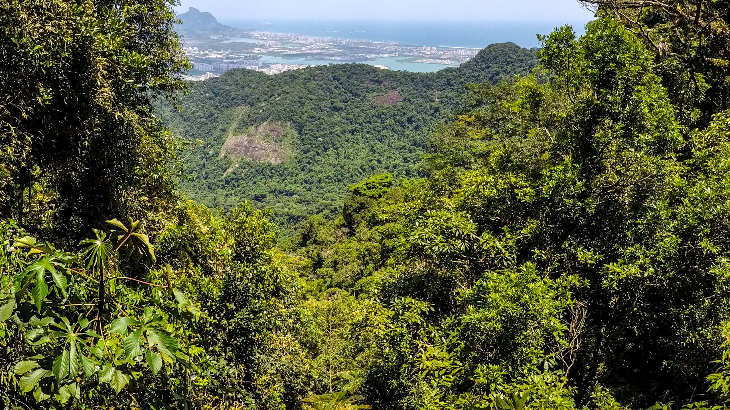 BNDES e Estado do Rio de Janeiro lançam novo edital do Floresta Viva de R$ 60 milhões para restaurar a Mata Atlântica — Agência Gov