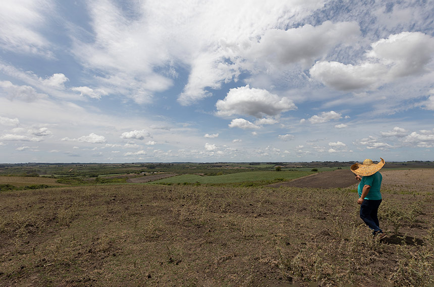 CAE vota prorrogação de dívidas de agricultores atingidos pelo clima — Senado Notícias