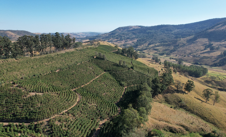 Café do Vale da Grama (SP) conquista selo de Indicação Geográfica — Agência Gov