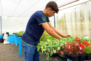 Do Paraná para os EUA: jovem quer mudar a história da família no Ganhando o Mundo Agrícola