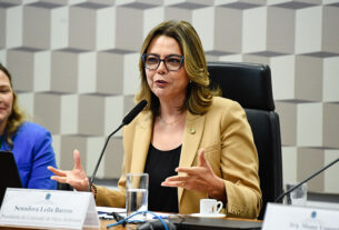 À mesa, presidente da CMA, senadora Leila Barros (PDT-DF), conduz audiência.