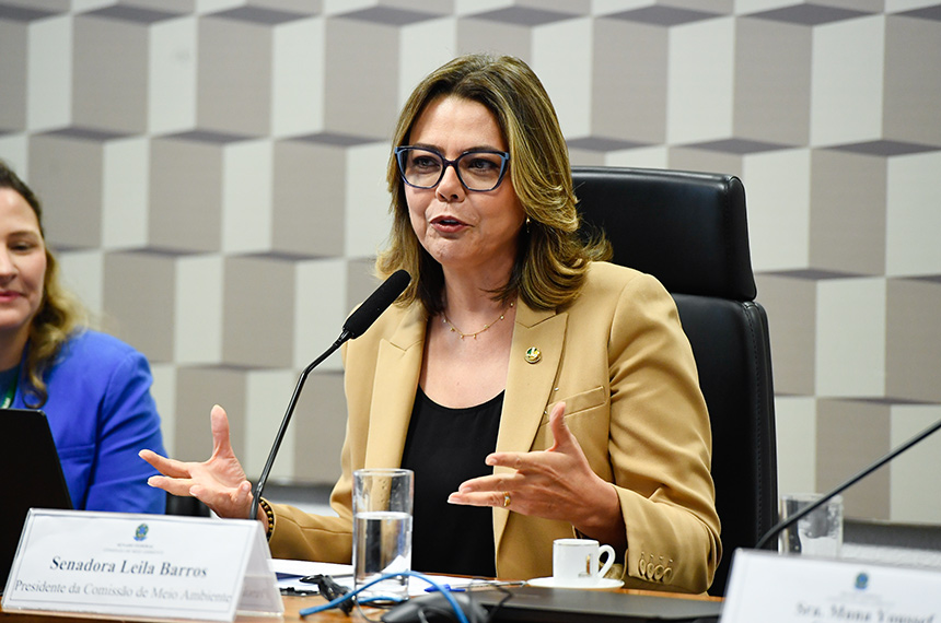 À mesa, presidente da CMA, senadora Leila Barros (PDT-DF), conduz audiência.