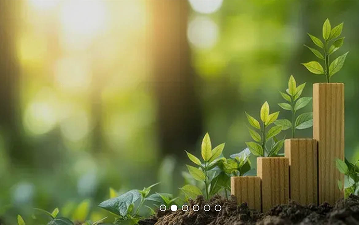 Fazenda faz consulta pública para investimentos no programa Natureza, Povos e Clima — Agência Gov