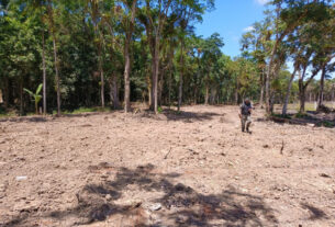 Instituto Água e Terra alerta para golpe do licenciamento ambiental no Litoral do Paraná