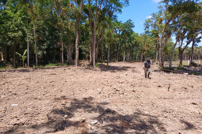 Instituto Água e Terra alerta para golpe do licenciamento ambiental no Litoral do Paraná