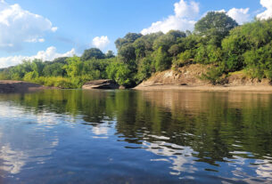 Imagens da Rio Camaquã - União Pela Preservação (UPP Camaquã), organização para preservação ambiental em Bagé-RS