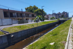 Matinhos: IAT finaliza reflorestamento do Canal da Avenida Paraná com 576 árvores