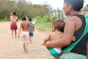 Ministério da Saúde reabre 100% dos serviços no território Yanomami — Agência Gov