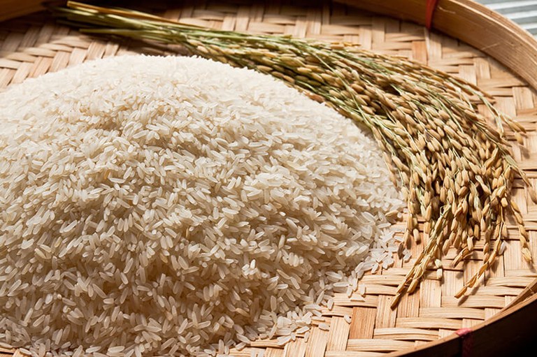 Novos leilões de contrato de opção de venda de arroz são marcados para próximo dia 20 — Agência Gov