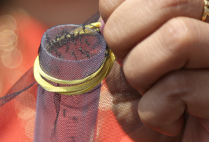 Conheça as tecnologias que o Ministério da Saúde vai aplicar para o controle da dengue em cidades de Minas Gerais — Agência Gov