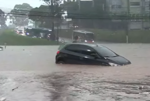 Defesa Civil Alerta foi usado devidamente na capital paulista, diz Waldez — Agência Gov