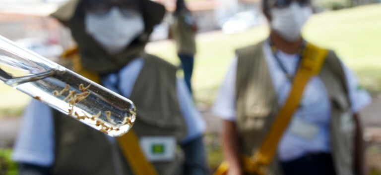 Entenda porque os casos de dengue aumentam no verão. E proteja-se — Agência Gov