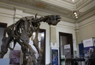 Museu de Ciências da Terra será revitalizado no Rio