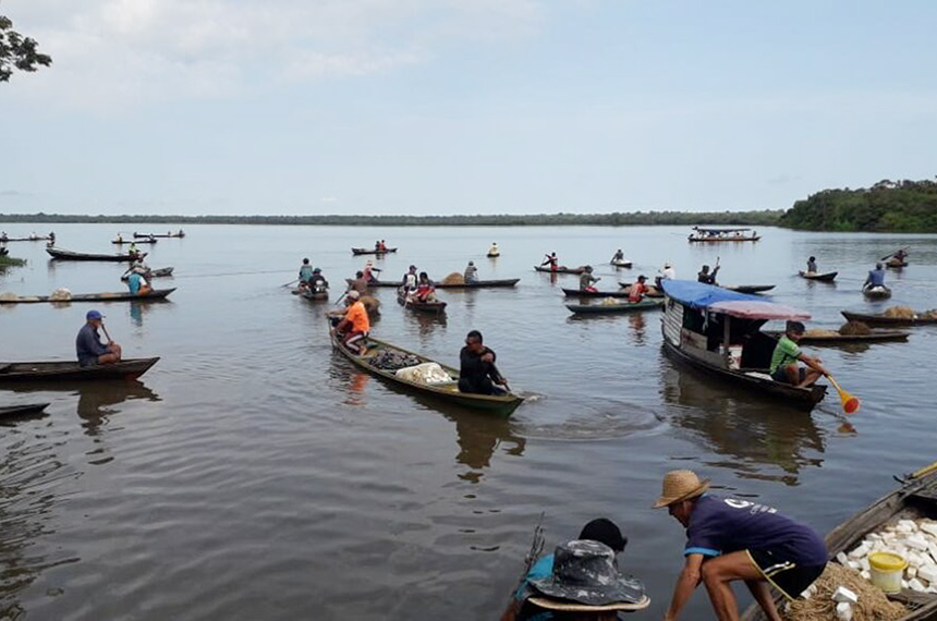 Pesca artesanal na Região Norte poderá ter gasolina subsidiada — Senado Notícias