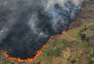 TV Brasil reexibe Caminhos da Reportagem vencedor de prêmio sobre emergência climática — Agência Gov