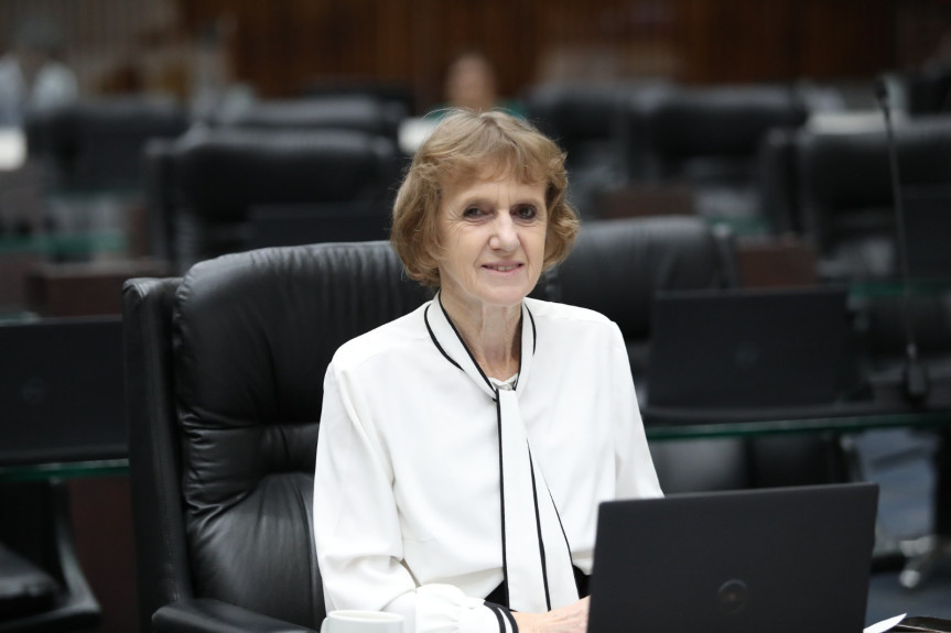 Deputada Luciana Rafagnin (PT).