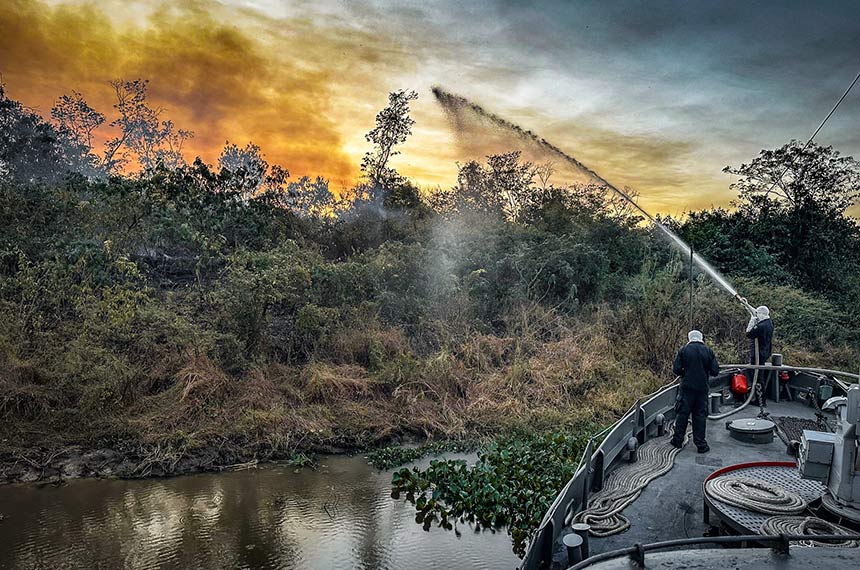 Estatuto do Pantanal deve ganhar relator na Câmara — Senado Notícias