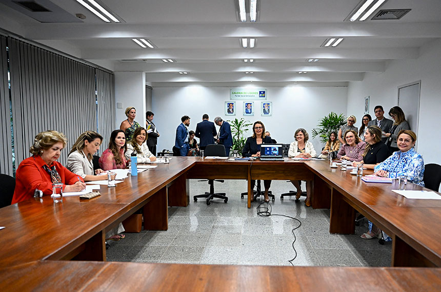 Senadoras cobram espaço físico para a Bancada Feminina — Senado Notícias