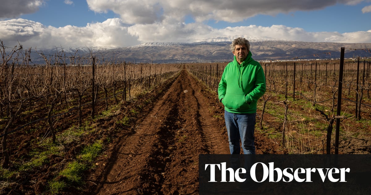 'As uvas não esperam': os produtores de vinho libaneses lutam para sobreviver à medida que a guerra faz com que a guerra | Líbano