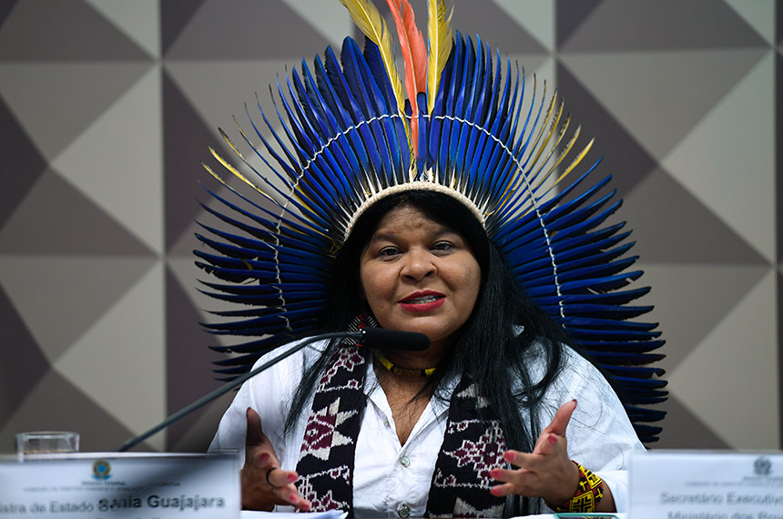 CRA e CDH ouvem ministra dos Povos Indígenas sobre acordo com empresa — Senado Notícias