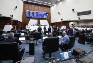Nesta terça-feira (29) foram realizadas duas sessões plenárias.