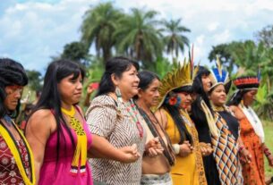 CDH avalia inclusão de mulher indígena em plano contra a violência doméstica — Senado Notícias