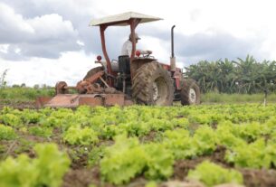 Comissão de Agricultura debate Plano Safra em audiência na quarta — Senado Notícias