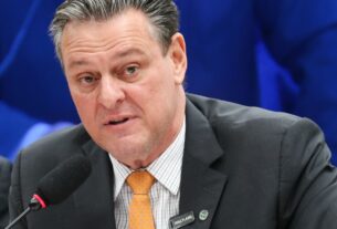 Gripe aviária não deve impactar preço da carne de frango, diz ministro