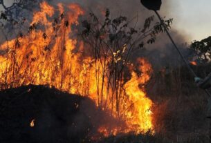 Ibama multa 242 pessoas por incêndios criminosos em 2024