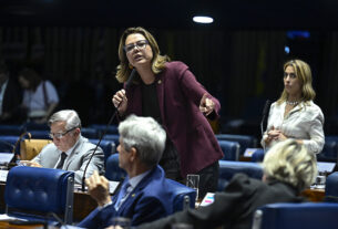 Em pronunciamento, à bancada, senadora Leila Barros (PDT-DF).