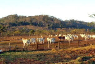 Marco do licenciamento ambiental está na pauta da CRA — Senado Notícias
