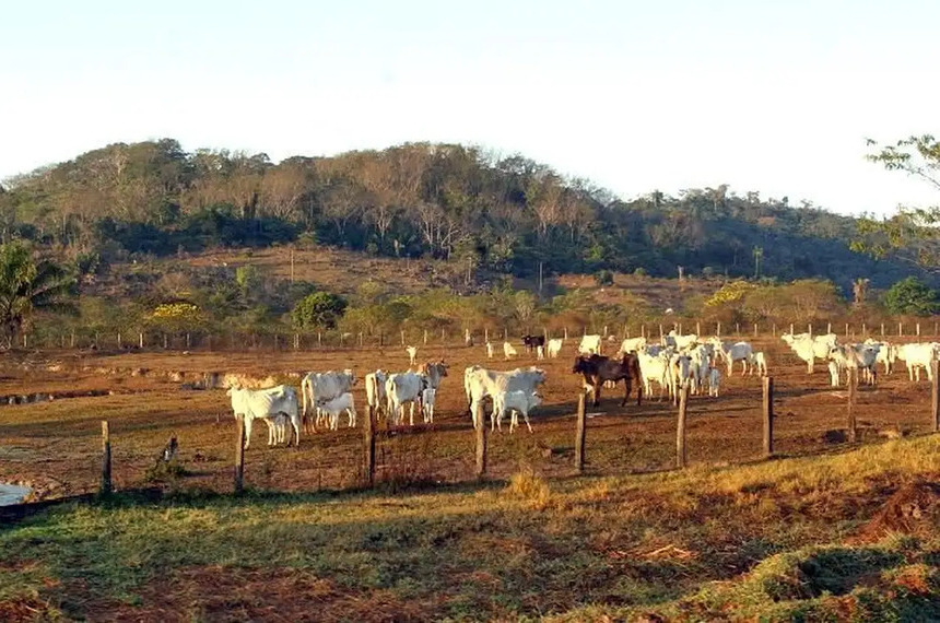 Marco do licenciamento ambiental está na pauta da CRA — Senado Notícias