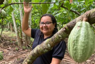 Potencial para bioeconomia atrai investimentos na Amazônia