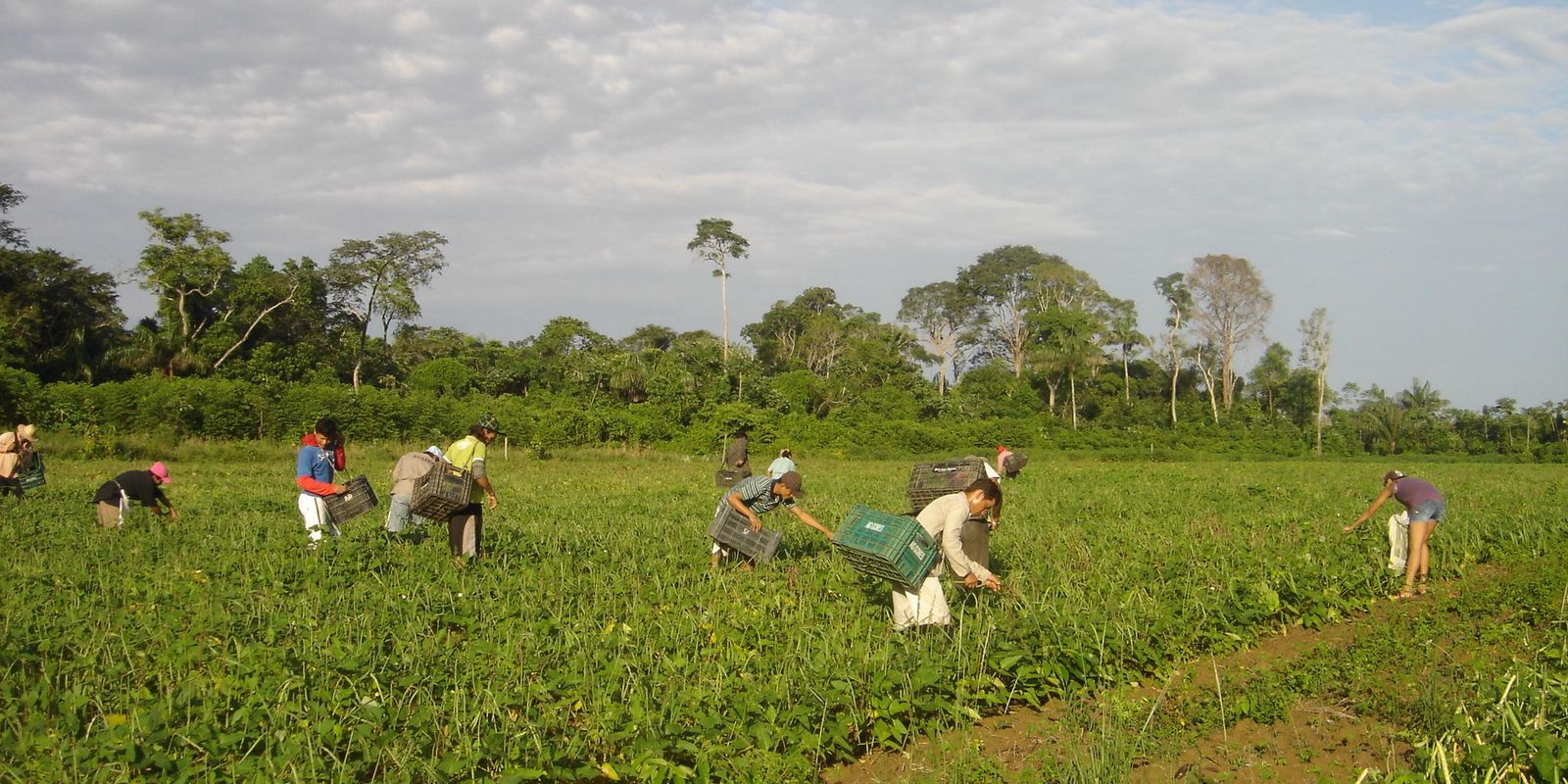 Produtores afetados por estiagem no RS podem renegociar crédito rural