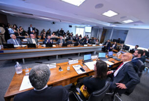 debatedores discordam sobre responsáveis por organização de postes — Senado Notícias