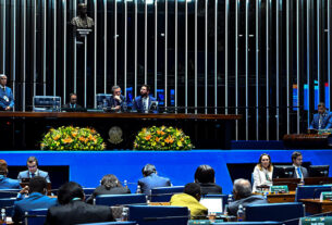 Em discurso, à tribuna, câmara dos Representantes do Egito, Mohamed Soliman.
