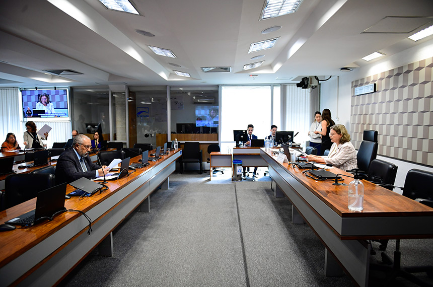 Vai à Câmara criação de cadastro nacional de creches e dados da 1ª infância — Senado Notícias