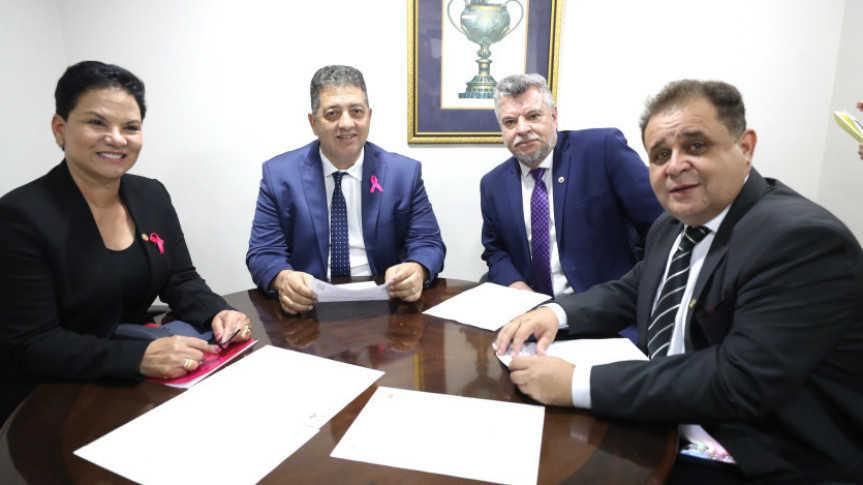Assembleia Legislativa do Paraná | ALEP | Notícias > Comissão da Pessoa Idosa apresenta balanço do 1º semestre de 2025