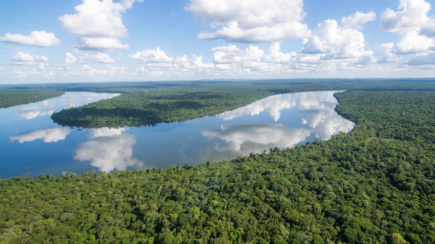 Assembleia Legislativa do Paraná | ALEP | Notícias > Deputado Goura (PDT) apresenta projeto de lei para eliminar espécies invasoras na bacia do Rio Iguaçu