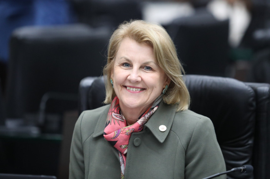 Assembleia Legislativa do Paraná | ALEP | Notícias > “Isenção do ICMS para medicamentos facilita tratamento de doenças difíceis”, diz deputada Márcia Huçulak (PSD) sobre nova medida do Governo estadual